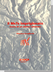 Immagine della copertina del libro