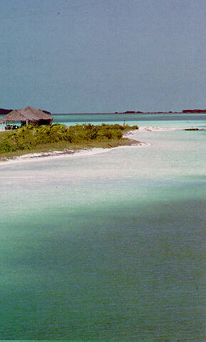 l'isola di Cayo Largo