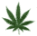 Hemp Home Page